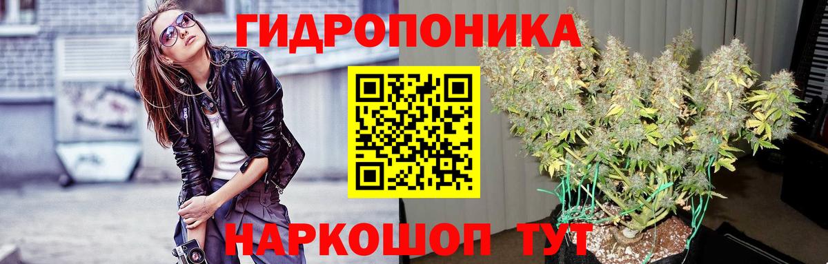 Конопля семена Кострома
